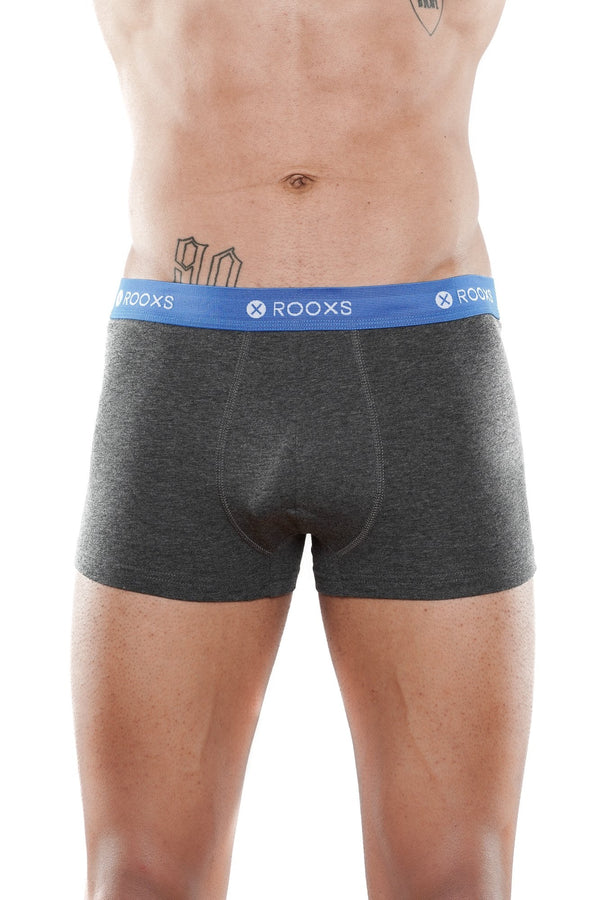 retroshorts grau
